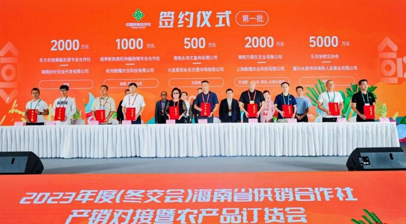 自贸港贸易风华正茂：海南贸易公司发展现状